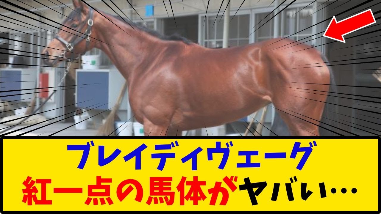 【安田記念】「ブレイディヴェーグ 紅一点の馬体がヤバい…」に対するみんなの反応【反応集】
