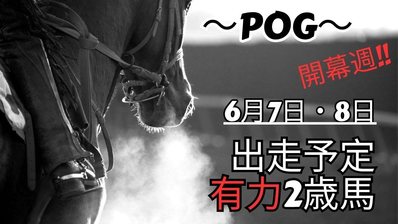 もしかしてＧＩ級】開幕週から激熱の馬が出走する予定。ＰＯＧファン必見です！！