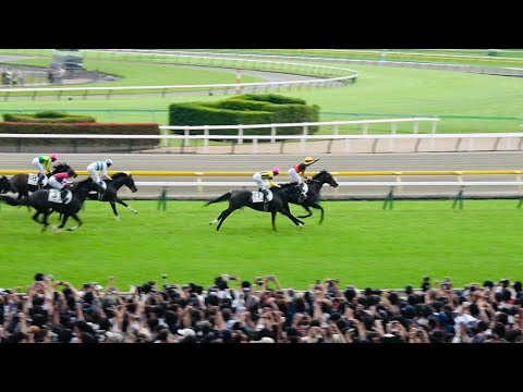 【日本ダービー2025】現地レース映像 ダービージョッキー北村友一誕生に東京競馬場が沸いた！ クロワデュノール【現地】