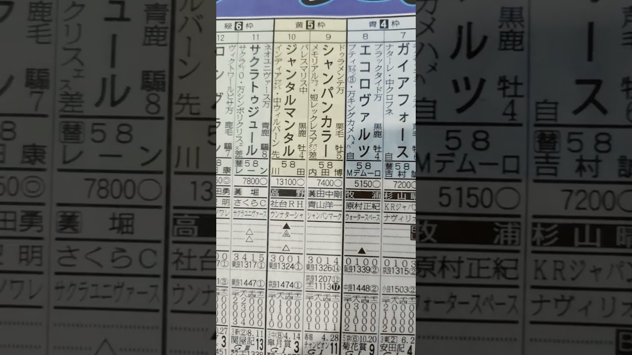 競馬予想（安田記念）