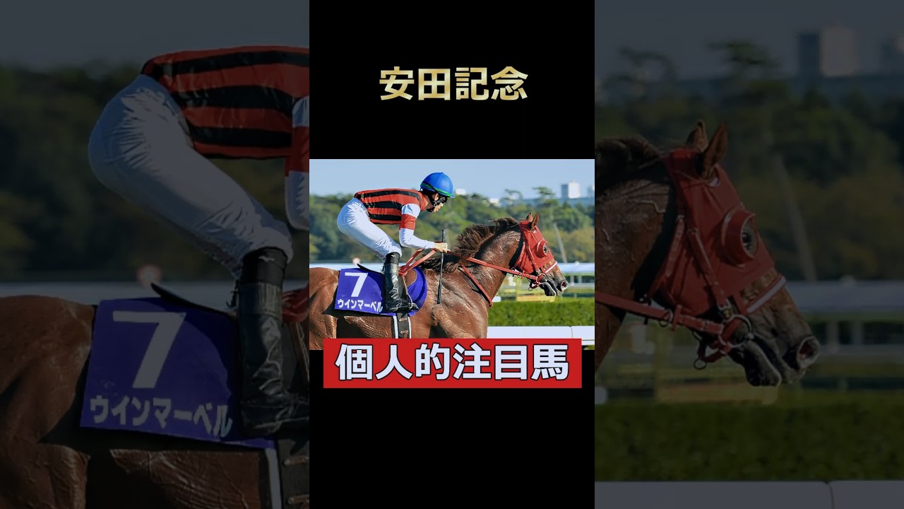 1400メートル巧者がマイルに参戦！ウインマーベル！安田記念個人的注目馬！ #競馬 #安田記念 #ウインマーベル