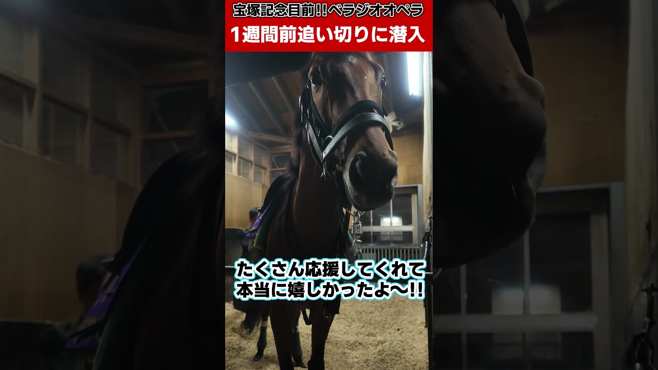 「ベラジオオペラ」宝塚記念1週前追い切り直前のオペラに突撃～重要告知あり⁉【ベラジオch】#ベラジオオペラ #宝塚記念