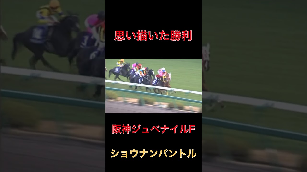 思い描いた勝利ショウナンパントル【阪神JF】#競馬#阪神ジュベナイルフィリーズ