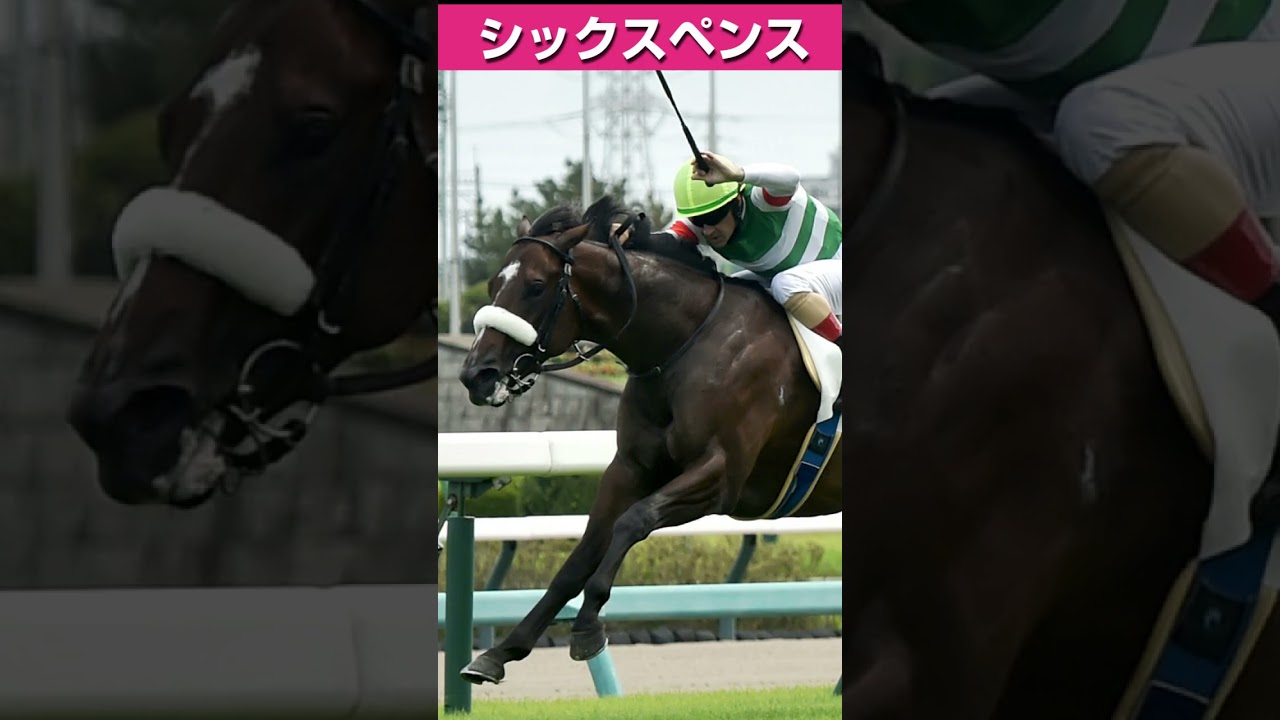 【安田記念2025】枠順決定！シックスペンスは信用できるのか？ #競馬 #競馬予想 #中央競馬  #jra