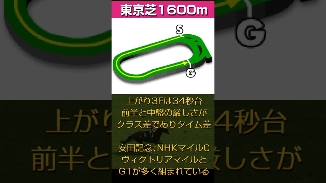 【安田記念2025】押さえておこう安田記念のコース、東京芝1600m特性 #競馬 #競馬予想 #中央競馬 #jra