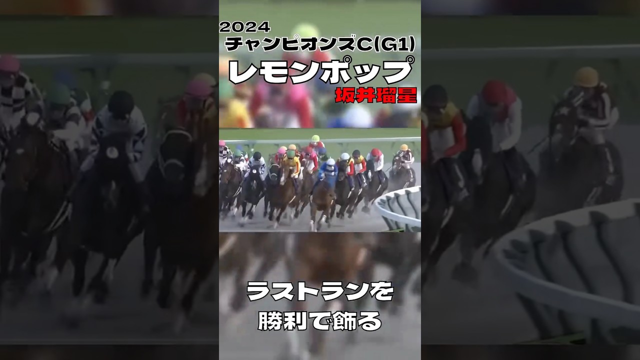 チャンピオンズカップ レモンポップ 坂井瑠星 国内G1無敗で有終の美を飾る#競馬 #競馬予想 #馬 #shorts