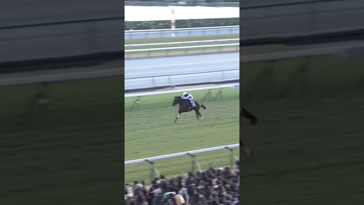 #shorts 2024 朝日杯フューチュリティステークス #アドマイヤズーム #川田将雅