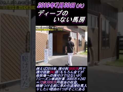 【武豊､ディープが亡くなった当日にとった行動を語る】｢会えますか？｣ と聞いた翌日に #武豊 #ディープインパクト