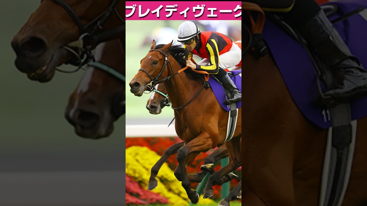 【安田記念2025】枠順決定！ブレイディヴェーグの末脚炸裂に期待！ #競馬 #競馬予想 #中央競馬  #jra