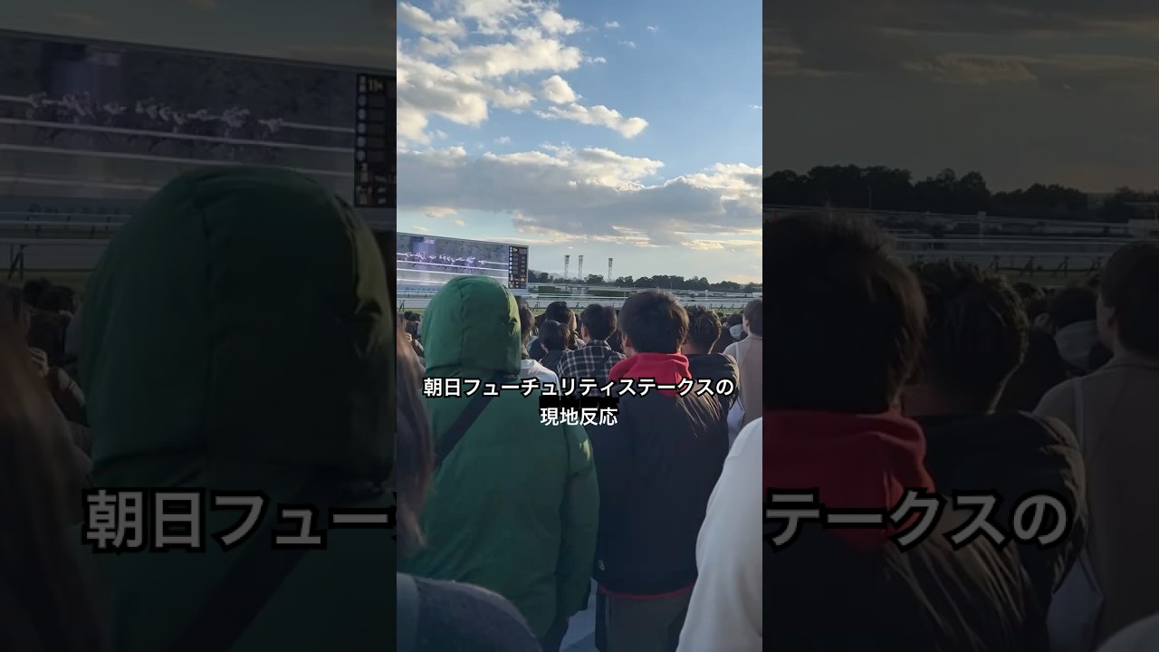 【初現地観戦】本日の朝日杯フューチュリティステークスの反応 #shorts #競馬 #朝日杯フューチュリティステークス #現地観戦 #なんやこれ