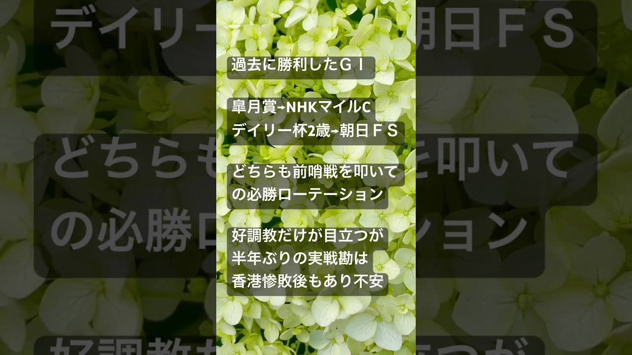 【安田記念2025】ジャンタルマンタル前日2番人気⚠️危険な人気馬！逆に買えば🎯馬券下手な競馬歴30年の安田記念危険な人気馬考察💥#競馬予想 #安田記念 #ジャンタルマンタル