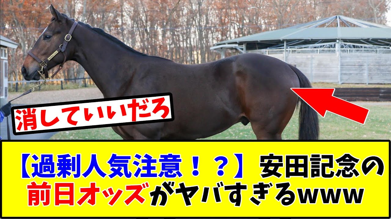 【過剰人気注意！？】安田記念の前日オッズがヤバすぎるwww