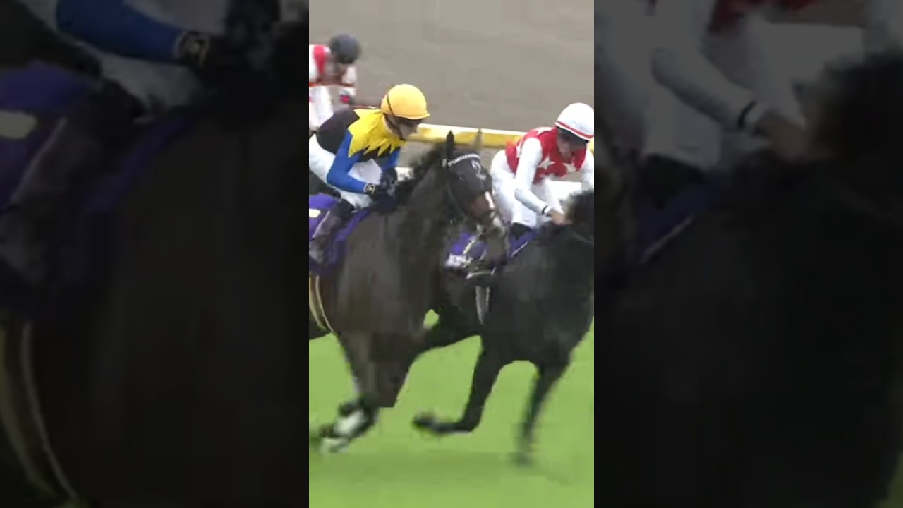 #shorts 2025 オークス(優駿牝馬) #カムニャック #シュタルケ
