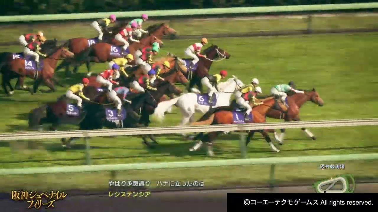 ドリームレース「阪神ジュベナイルフィリーズ」