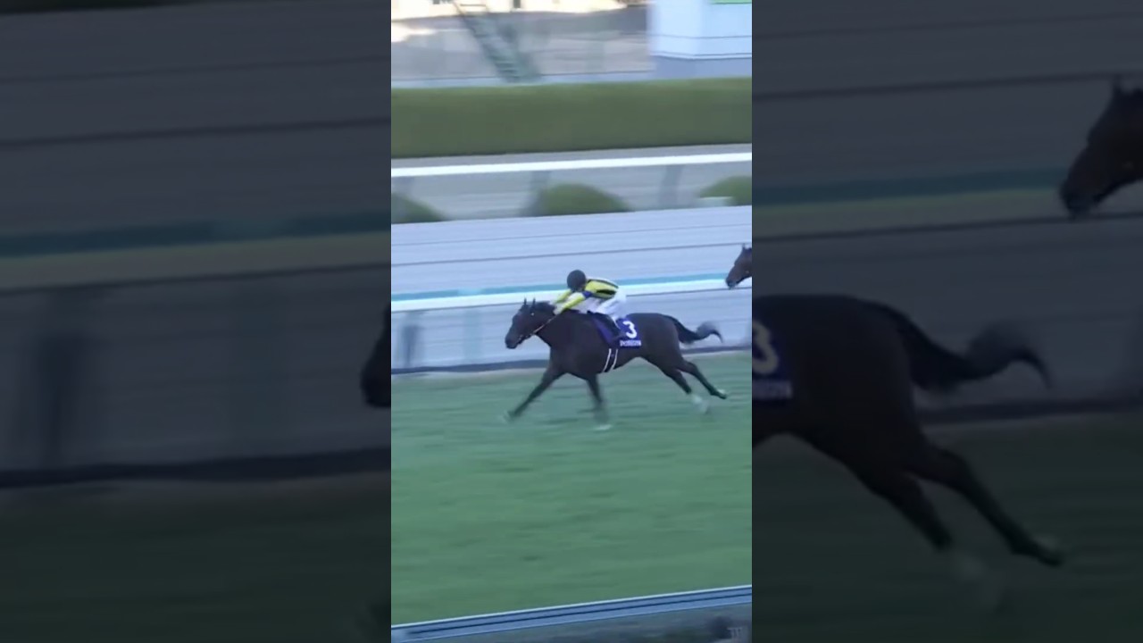 #shorts 2023 朝日杯フューチュリティステークス #ジャンタルマンタル #川田将雅