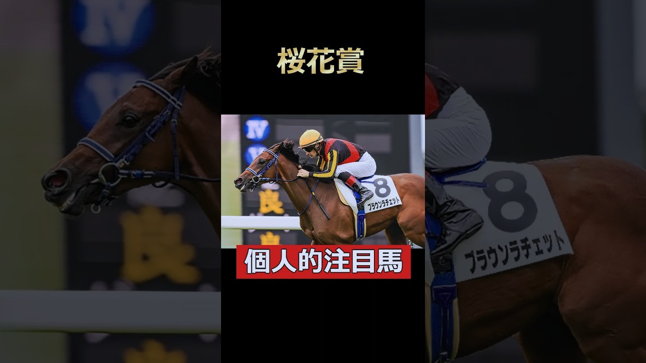 兄に負けじと妹もブラウンラチェット！桜花賞個人的注目馬！#桜花賞 #ブラウンラチェット