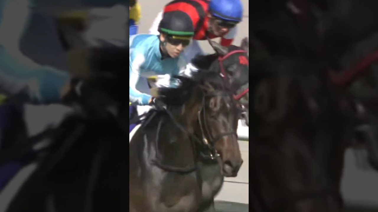 #shorts 2020 オークス(優駿牝馬) #デアリングタクト #松山弘平