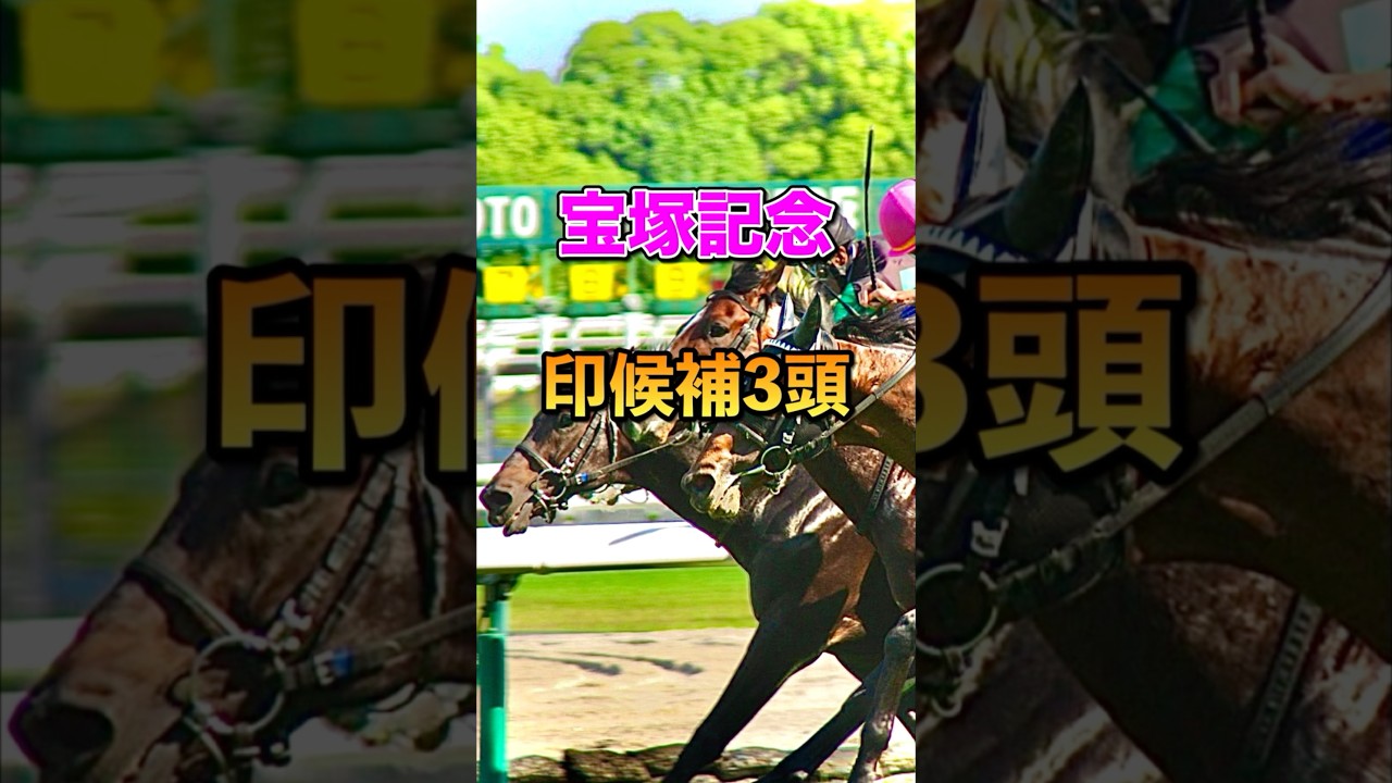 【宝塚記念2025】印候補3頭