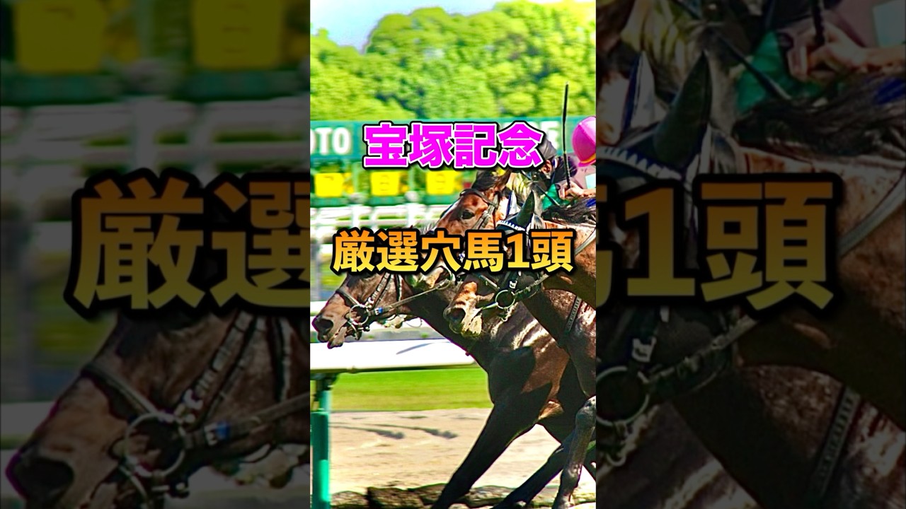 【宝塚記念2025】厳選穴馬1頭