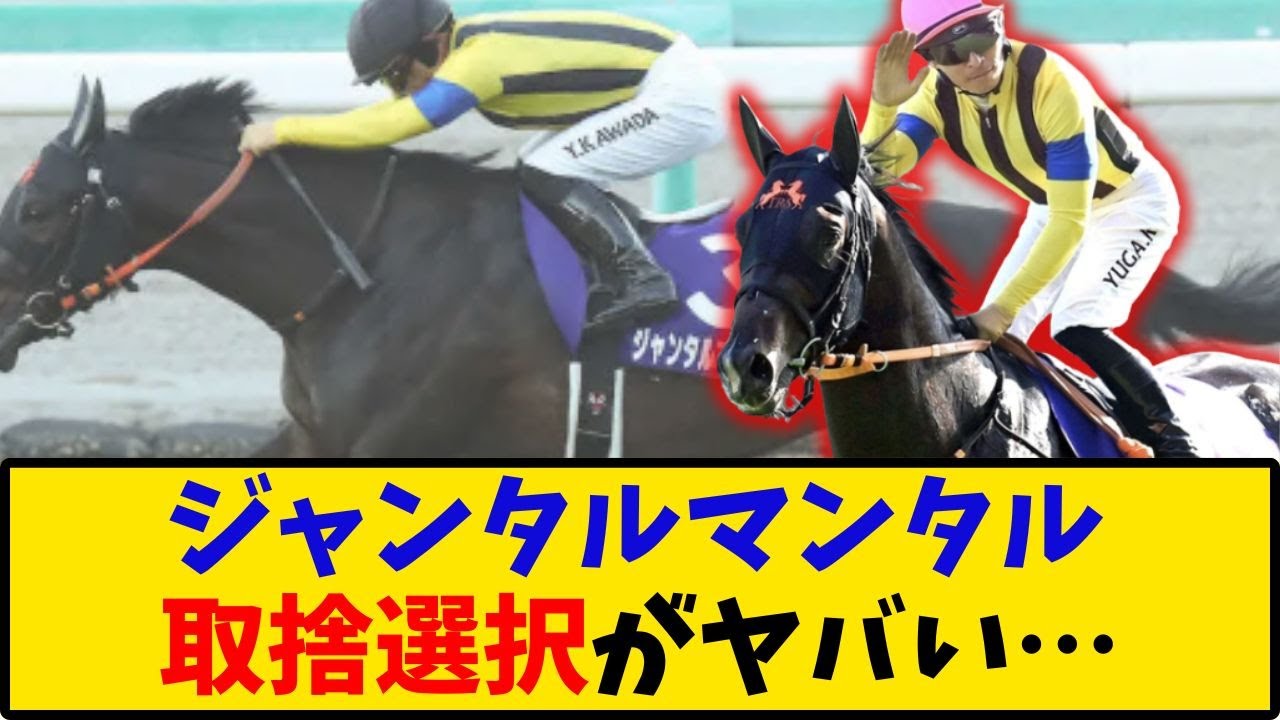 【安田記念】「ジャンタルマンタルの取捨選択がヤバい…」に対するみんなの反応【反応集】