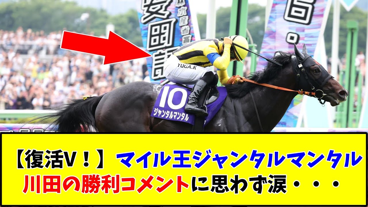 【復活V！】マイル王ジャンタルマンタル川田の勝利コメントに思わず涙・・・