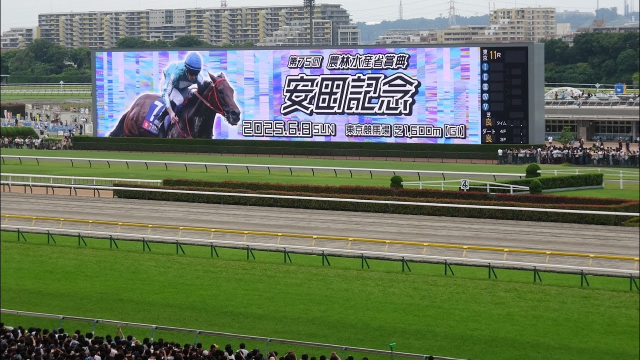 【安田記念2025】レース前のカッコいい煽りV〜ファンファーレ生演奏 東京トゥインクルファンファーレ【現地】