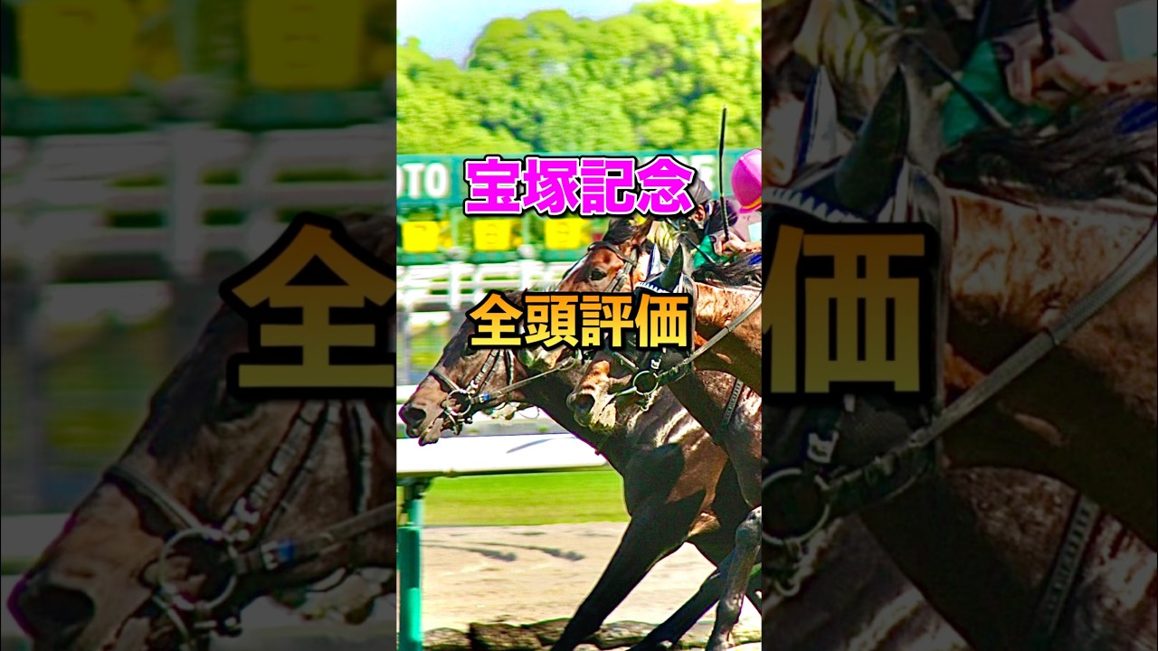 【宝塚記念2025】全頭評価