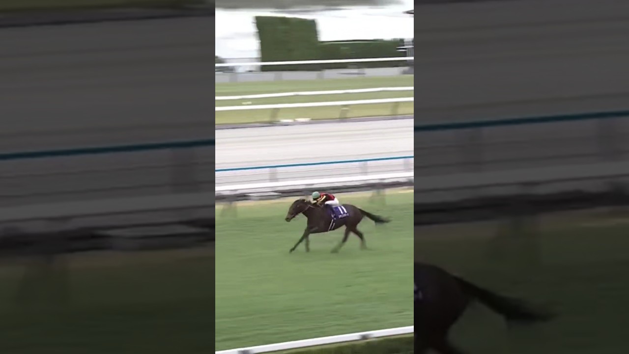 #shorts 2024 エリザベス女王杯 #スタニングローズ #C.デムーロ