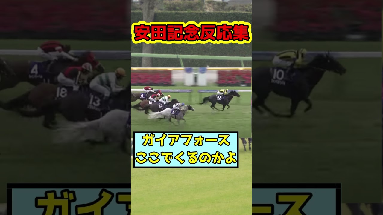 【競馬】安田記念2025結果 ネットの反応#shorts