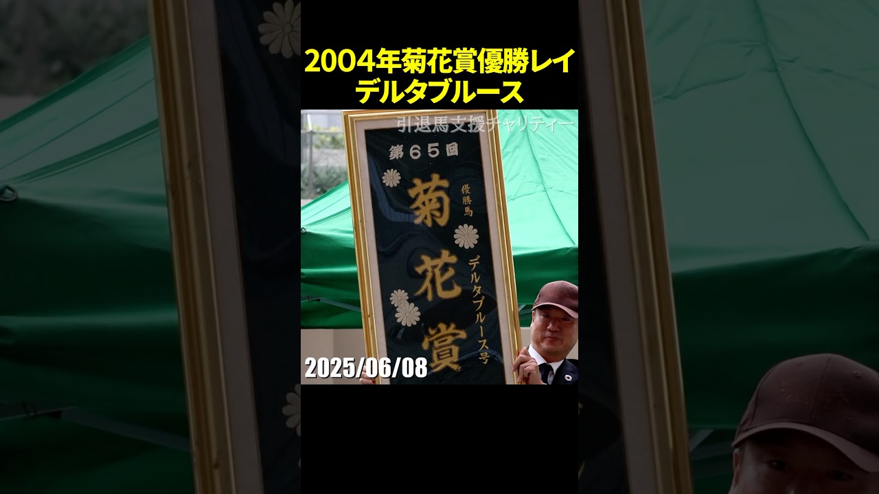 2004年菊花賞デルタブルース号の優勝レイの引退馬支援チャリティーオークション #デルタブルース #競馬 #現地映像 #shorts