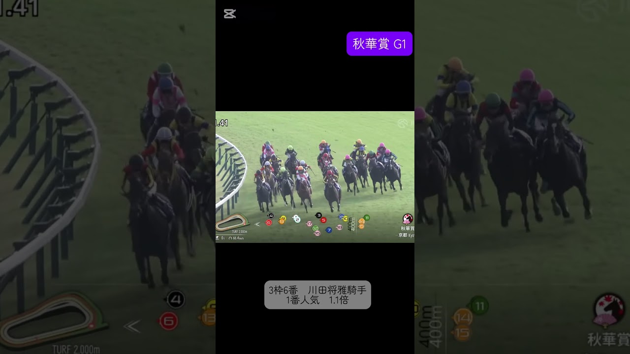 リバティアイランド　秋華賞　#競馬 #ウマ娘 #shorts #JRA #競馬予想