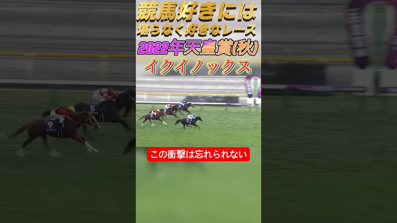 【競馬好きには堪らないレース2022年天皇賞（秋）イクイノックス#競馬 #天皇賞秋 #イクイノックス#ルメール #パンサラッサ #東京競馬場 #shorts #horseracing