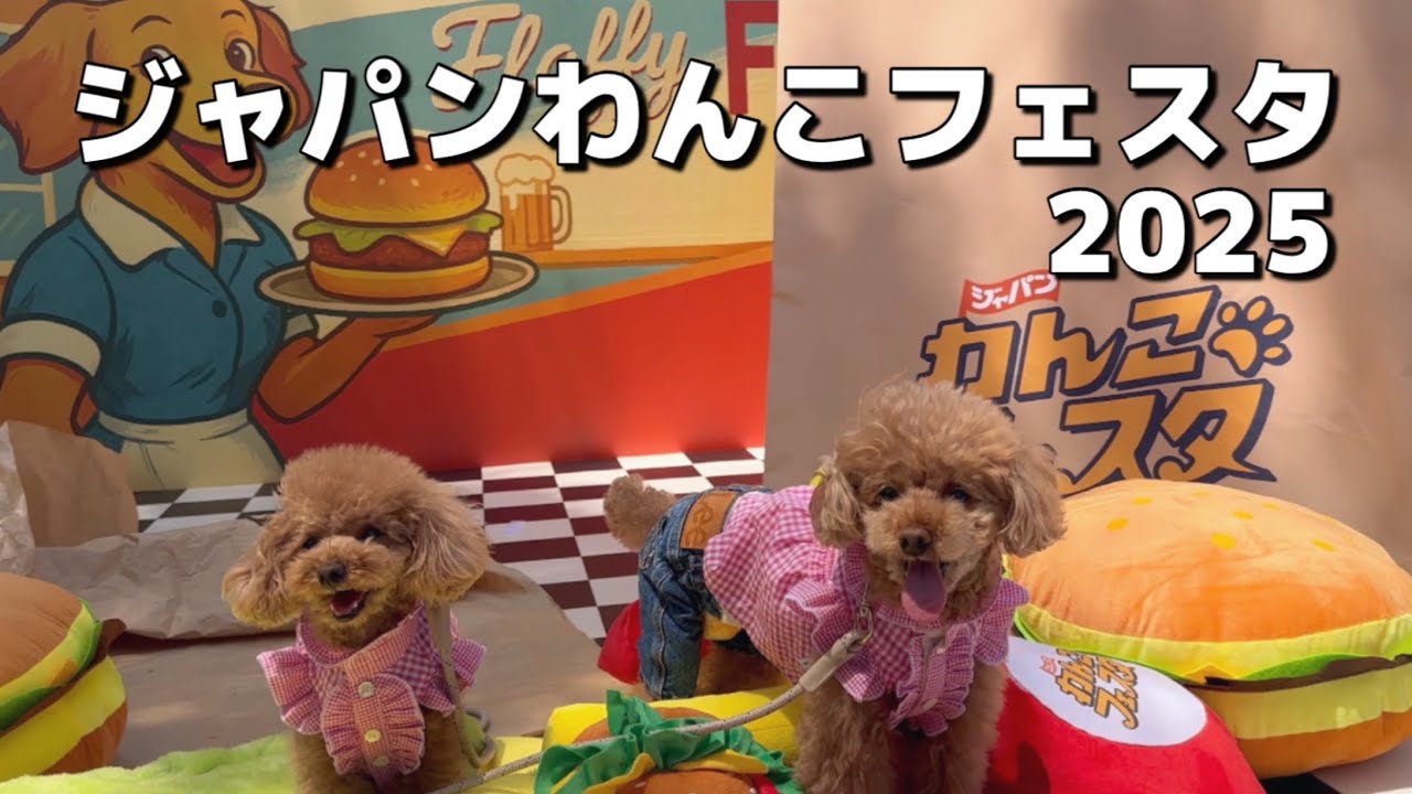 ジャパンわんこフェスタ2025初日に行ってきました