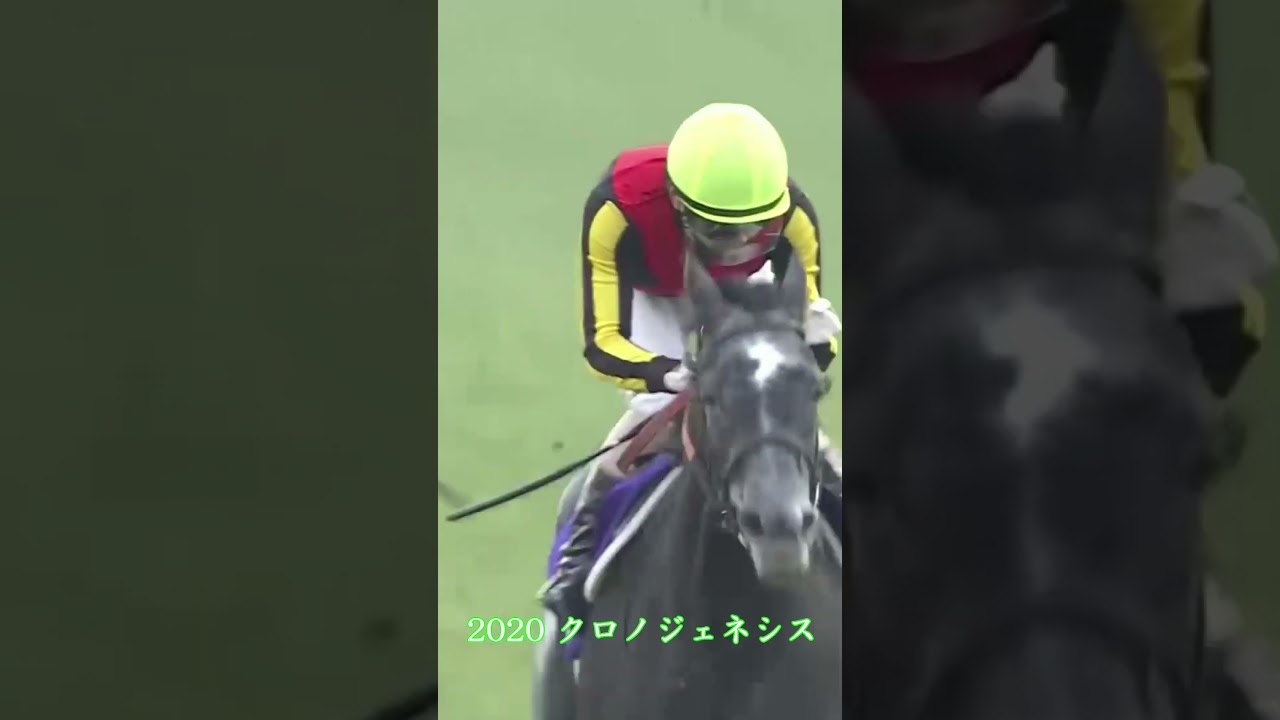 青嶋の青嶋による青嶋のための有馬記念実況　#競馬 #ウマ娘 #有馬記念