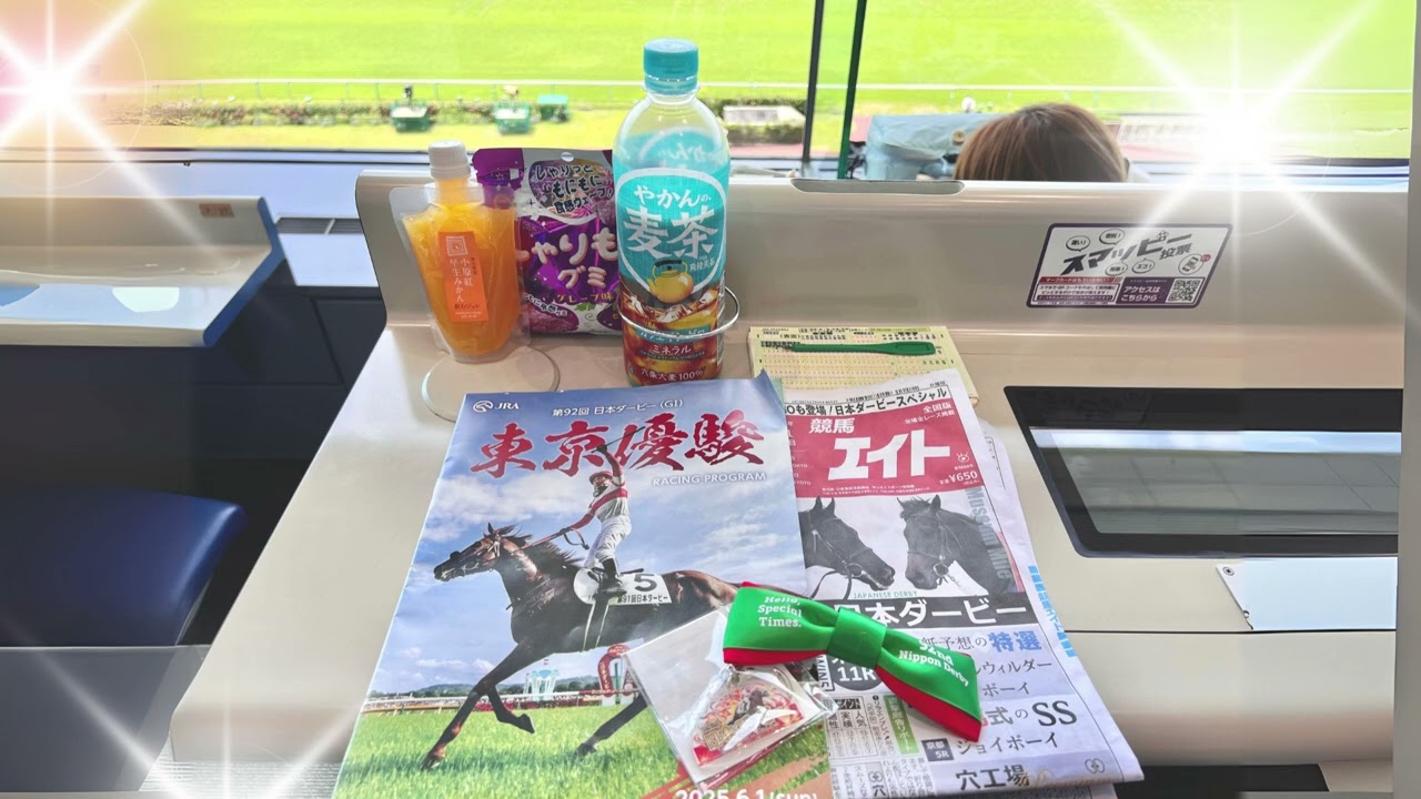 【2025年】「第92回 日本ダービー」S指定席から見てきた！in 東京競馬場