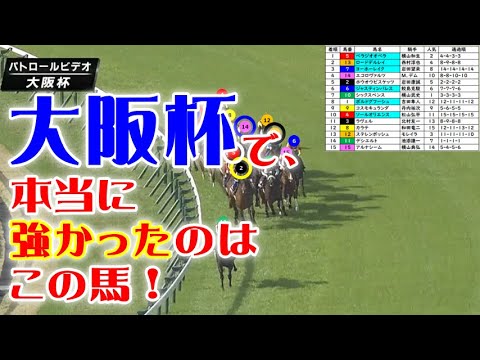大阪杯2025をパトロールビデオで振り返ったら、宝塚記念2025が見えてきた！