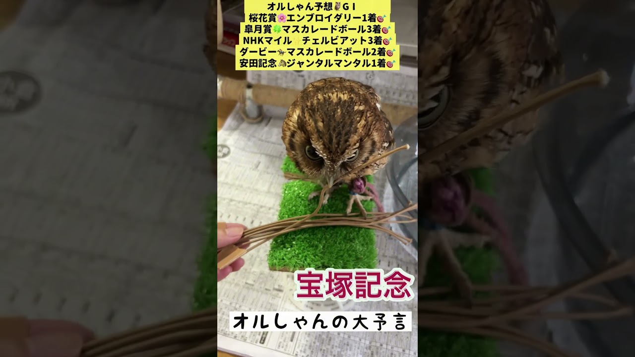 #宝塚記念 #shorts