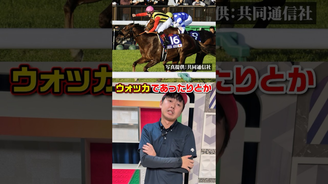 2008年スクリーンヒーロー！ジャパンカップを彩った名馬を振り返り