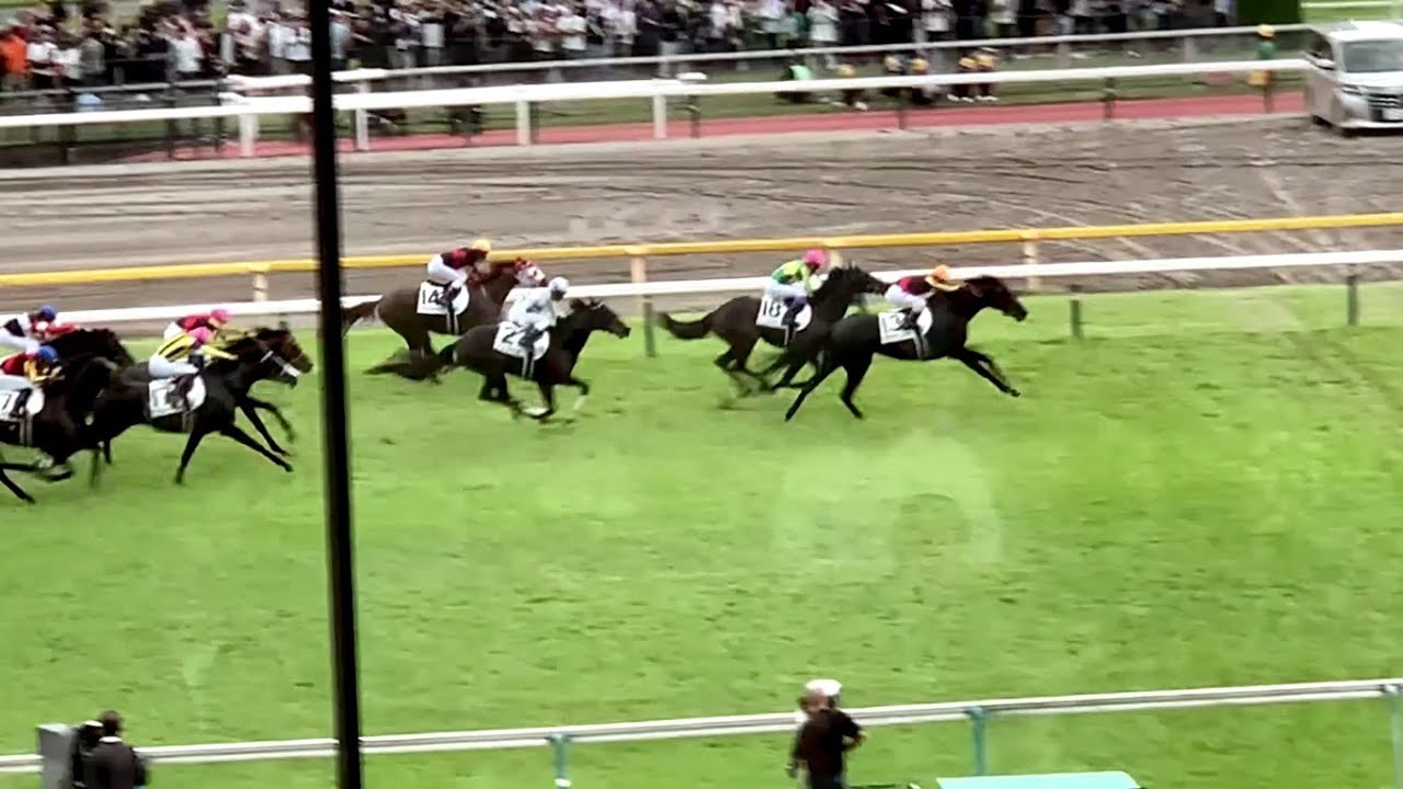 【字幕付】ボクが観に行った中央競馬全19レース 2024.10.06～25.06.08 内GⅠレースは 安田記念～日本ダービー～オークス～ヴィクトリアマイル～NHKマイルカップ～皐月賞～ジャパンカップ