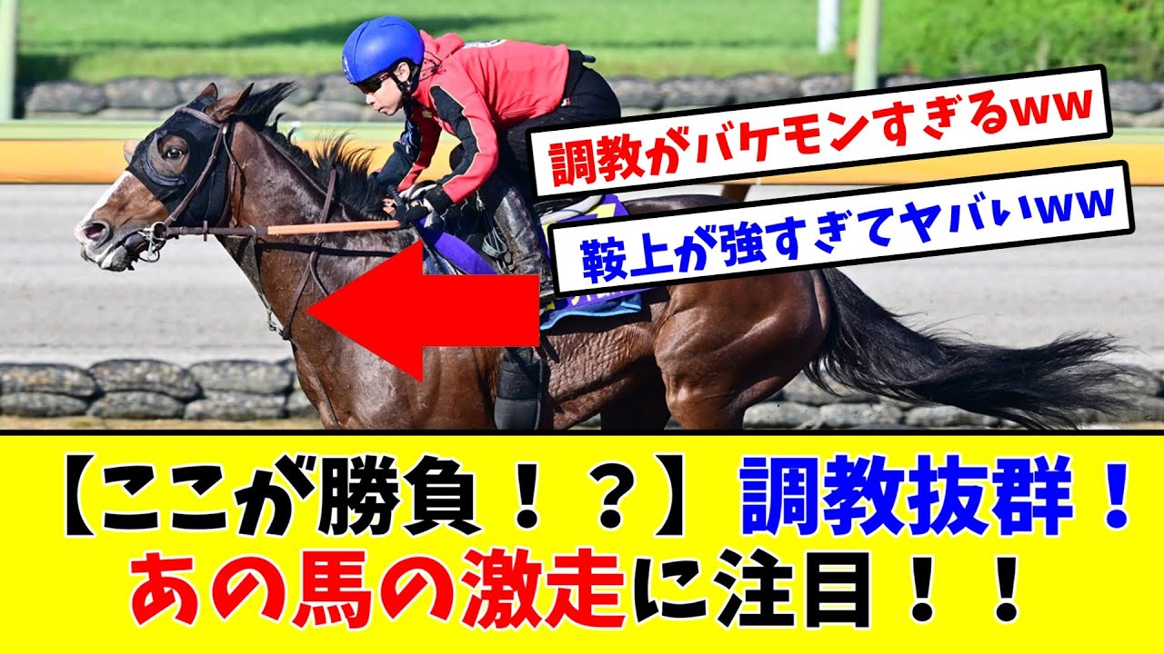 【ここが勝負！？】【宝塚記念】調教抜群！あの馬の激走に注目！！