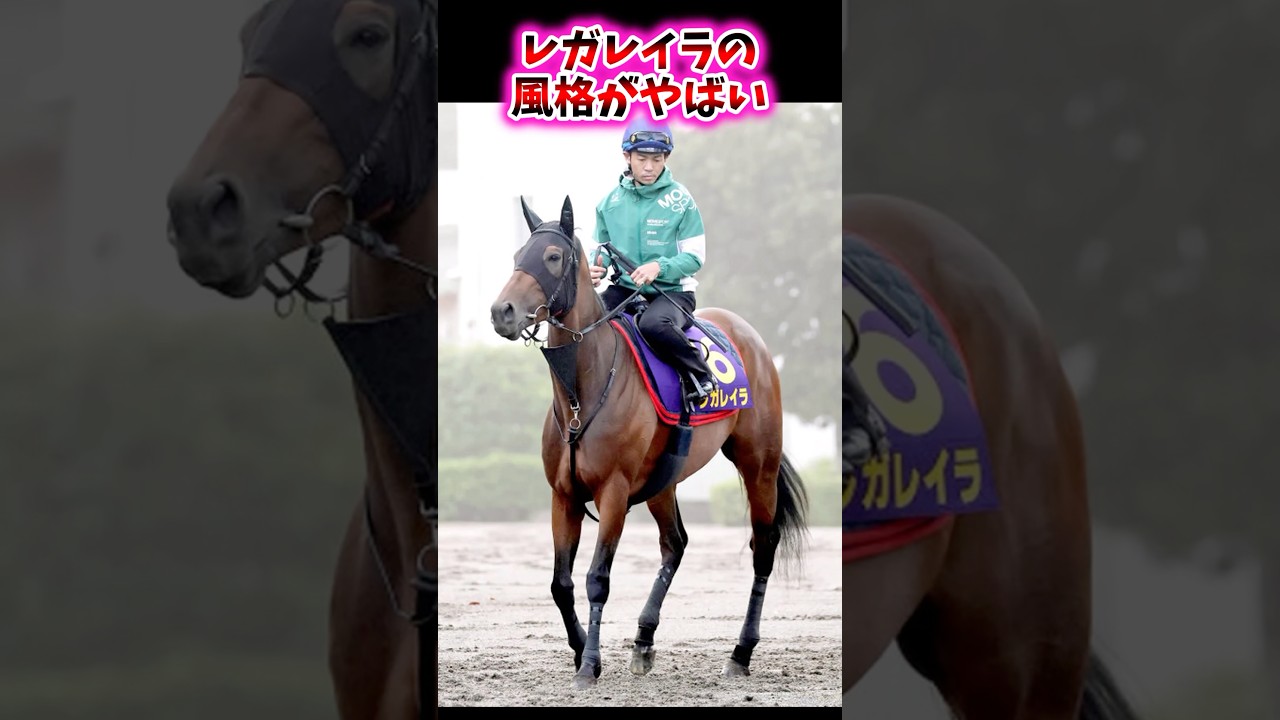 レガレイラの風格がやばい【競馬反応集】 #レガレイラ #宝塚記念