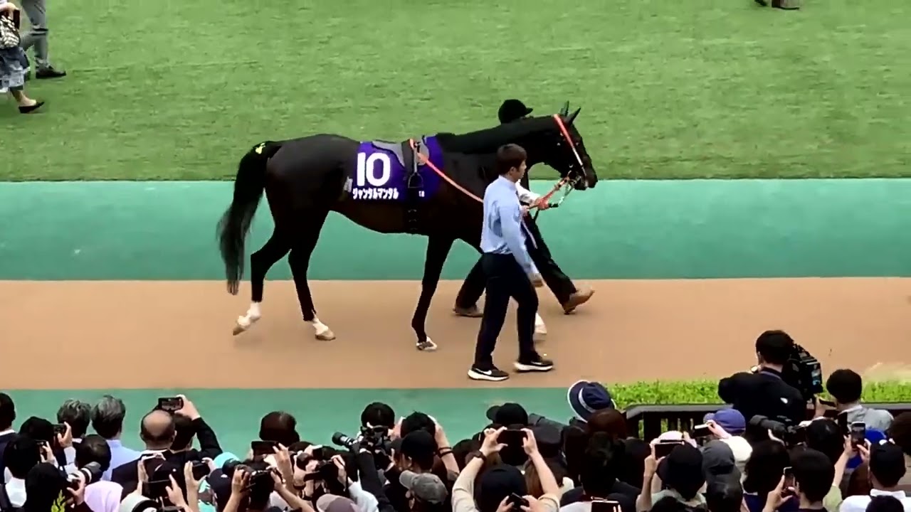 【ダイジェスト版】安田記念GⅠ 東京競馬場 2025.06.08 ジャンタルマンタル快勝とパドック風景＆3憶5千万円馬ダノンヒストリーの新馬戦
