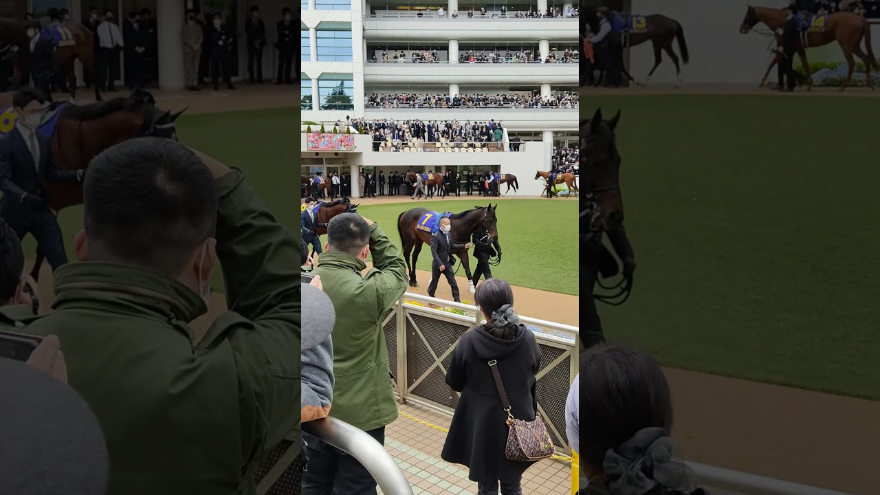 【競馬2022】ジオグリフ優勝 皐月賞 現地パドック2