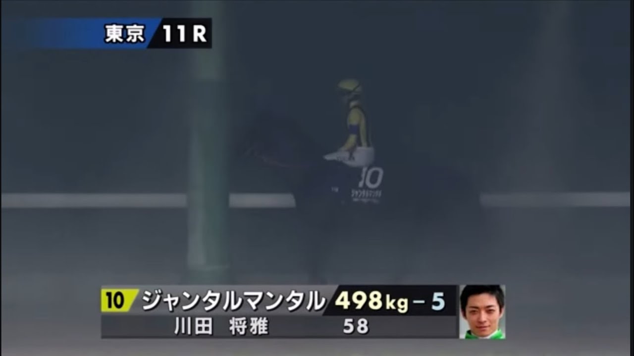 2025年第75回安田記念〔GⅠ〕本馬場入場