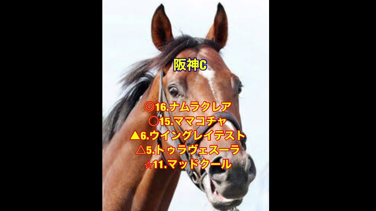 12/21.22 重賞予想　#中山大障害 #有馬記念 #阪神カップ #阪神c #クリスマス #大谷翔平 #ドウデュース