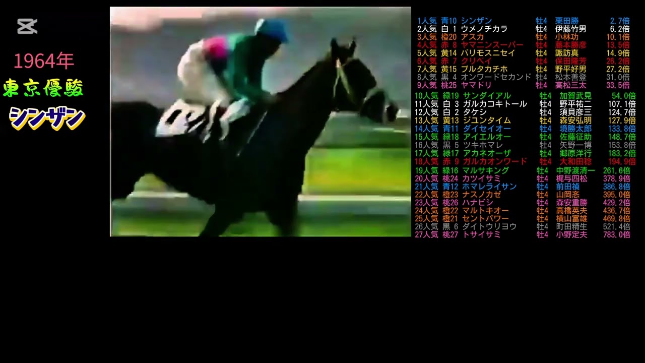 1964年　東京優駿（日本ダービー）　シンザン　　#ウマ娘#競馬#jra#武豊#馬#競走馬#ウマ娘プリティーダービー