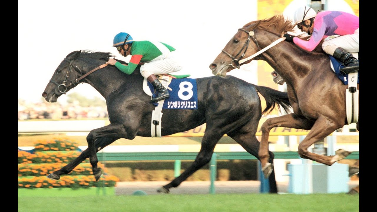 2002　天皇賞秋 GⅠ　シンボリクリスエス　岡部　幸雄