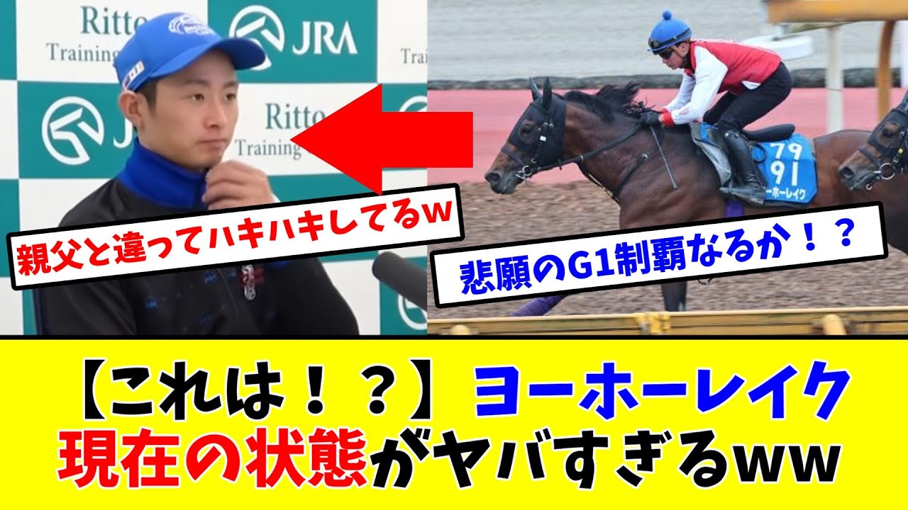 【宝塚記念】【これは！？】ヨーホーレイク 現在の状態がヤバすぎるww