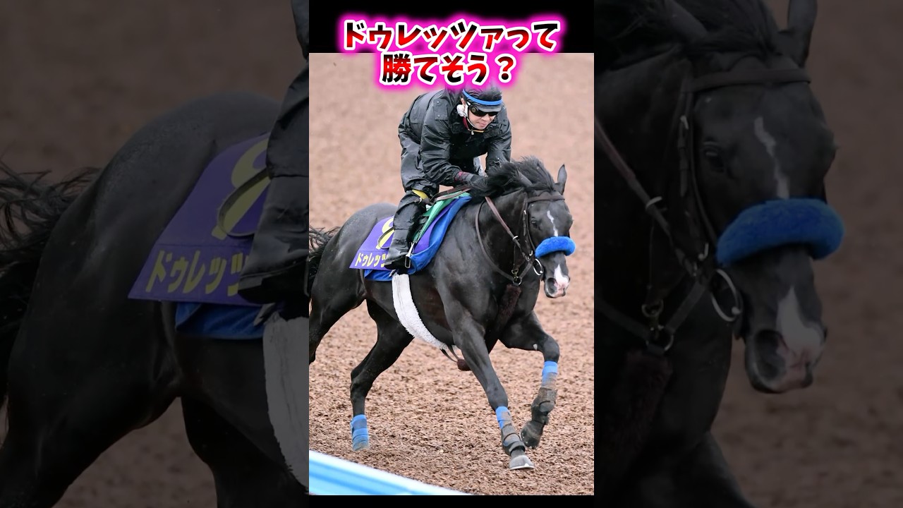 ドゥレッツァって勝てそう？【競馬反応集】 ドゥレッツァ #宝塚記念