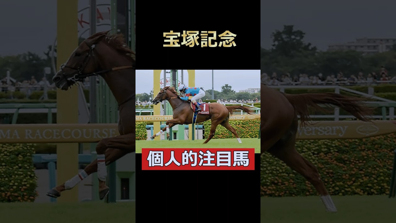 菊花賞馬の逆襲！アーバンシック！ #競馬 #宝塚記念 #アーバンシック